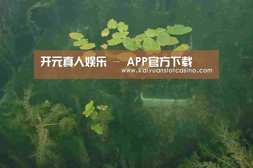 案例展示三(图1)