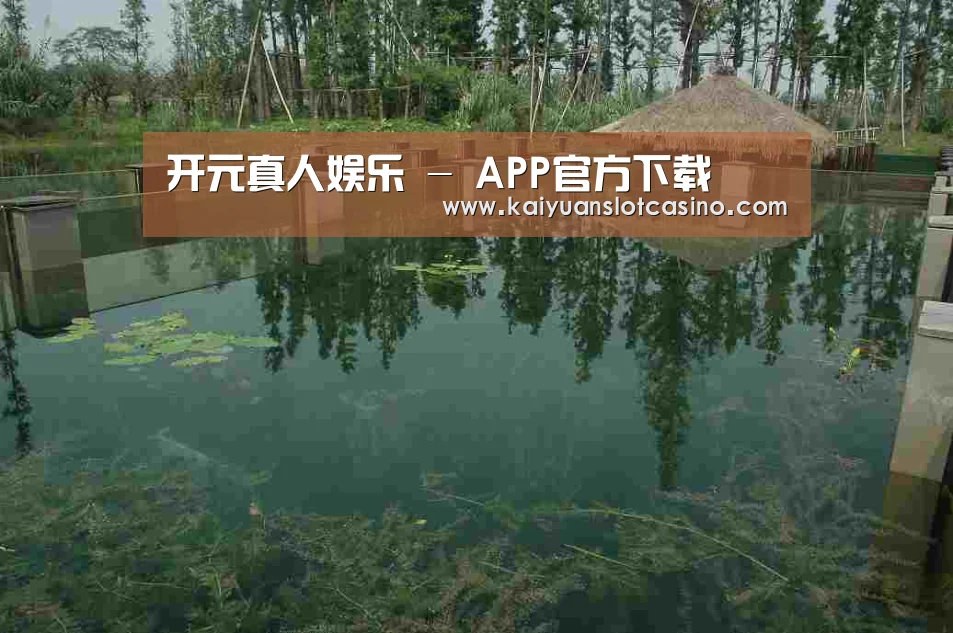 案例展示二(图1)