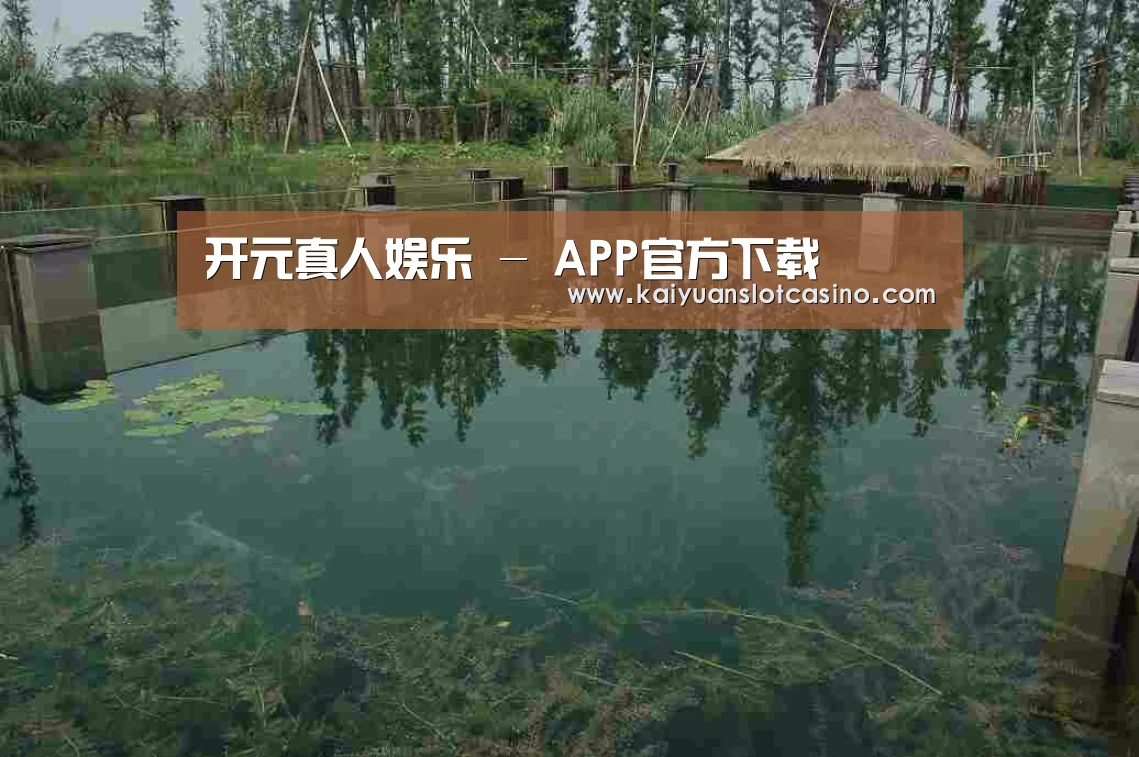 案例展示二