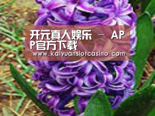 产品名称八