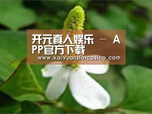 产品名称三