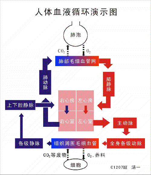 开元登录:
怕失业?100个兼职副业网赚正规平台大全 让你赚钱得手软(图文)(图2) 开元电竞