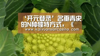 开元登录