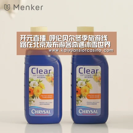 开元直播_呼伦贝尔冬季旅游线路在北京发布游客奇遇冰雪世界(图1) 开元百家乐