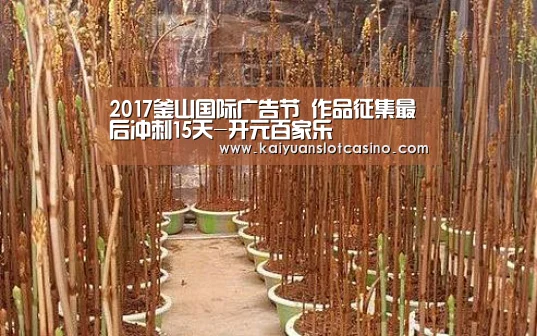 开元直播