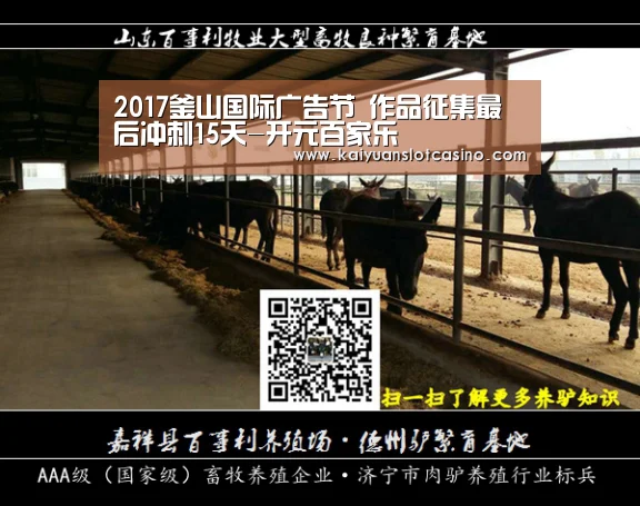 开元直播